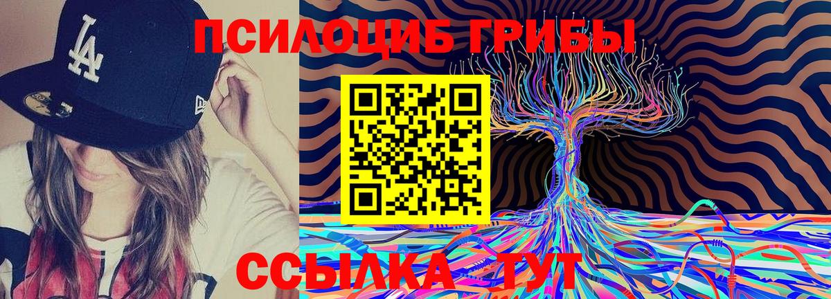 Псилоцибиновые грибы MAGIC MUSHROOMS  Вход с VPN  Старая Купавна 