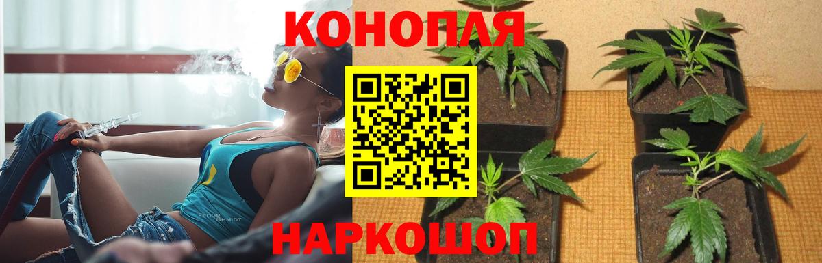 Шишки марихуана Bruce Banner Старая Купавна